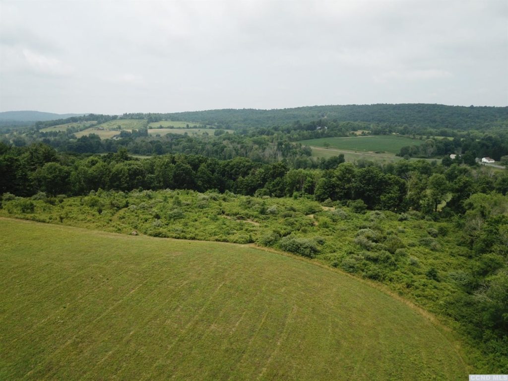 View of land for sale in Taghkanic, NY.