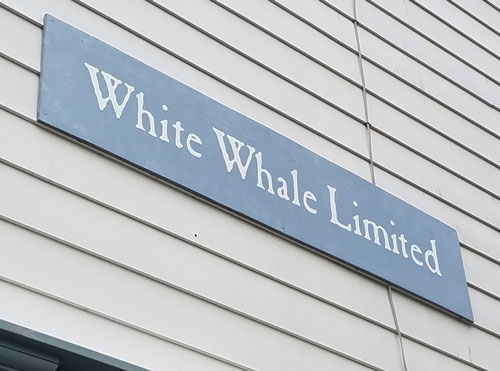 White Whale