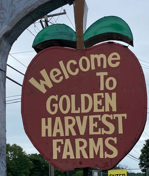 Golden Harvest