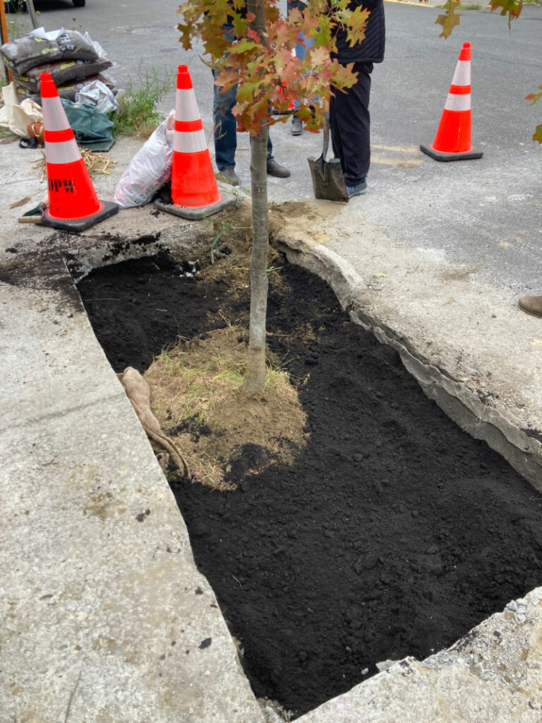 city of hudson conservation advisory council
