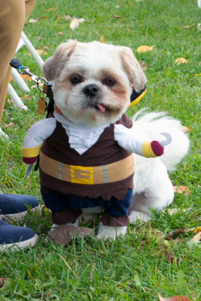 AnimalKind 2023 Dog Costume Contest Photo Credit: Scott Hotaling