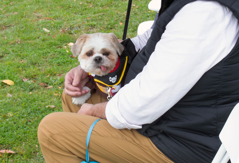 AnimalKind 2023 Dog Costume Contest Photo Credit: Scott Hotaling