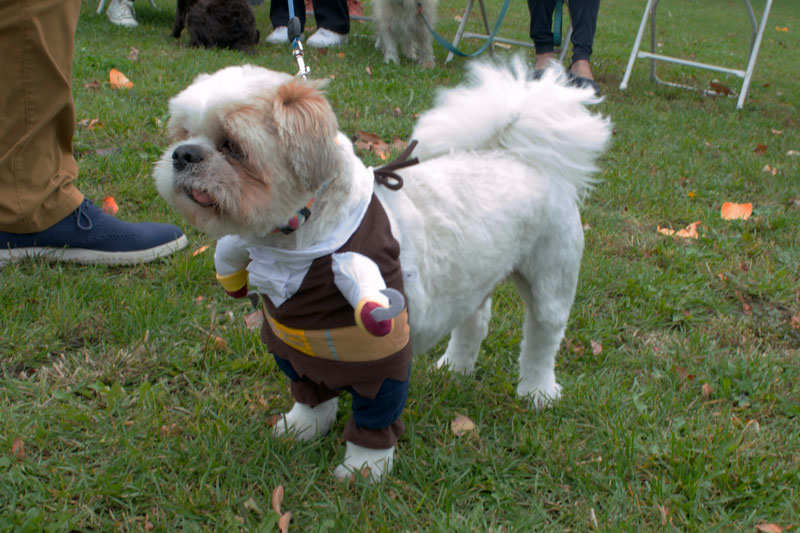 AnimalKind 2023 Dog Costume Contest Photo Credit: Scott Hotaling