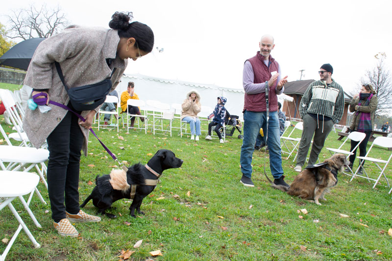 AnimalKind 2023 Dog Costume Contest Photo Credit: Scott Hotaling