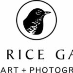 Robin Rice Gallery