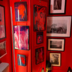 Robin Rice Gallery